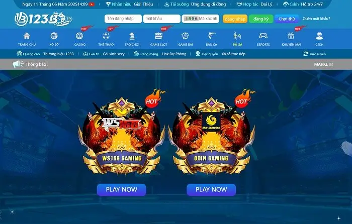 Đá gà 123B với những ưu điểm riêng dành cho mỗi sảnh game